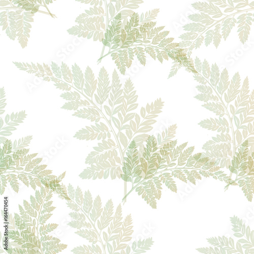 Seamless pattern with fern leaves