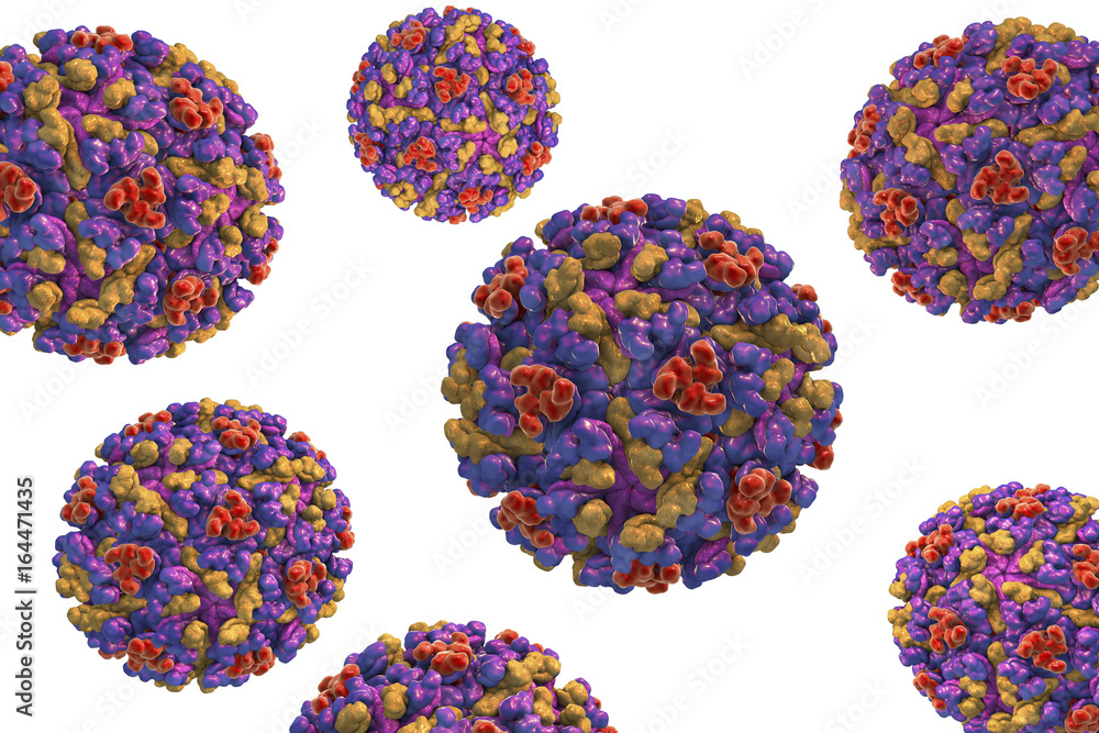 Eee Virus Vector Eastern equine encephalitis virus isolated on white background, 3D ...
