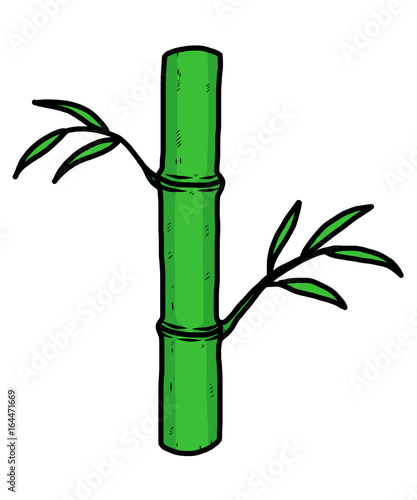 bamboo tree / cartoon vector and illustration, hand drawn style, isolated on white background.