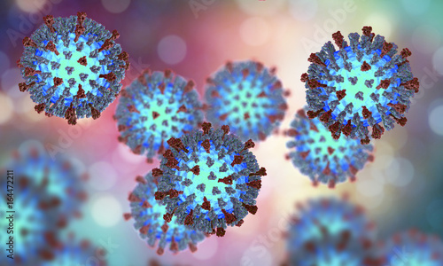 Measles viruses. 3D illustration showing structure of measles virus with surface glycoprotein spikes heamagglutinin-neuraminidase and fusion protein photo