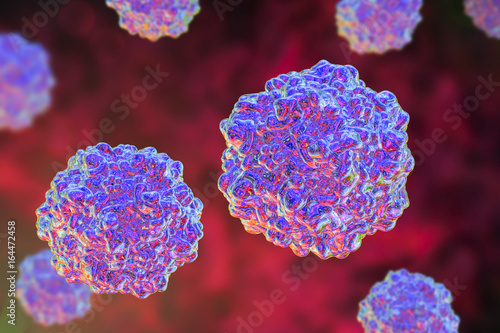 фотографія Porcine parvoviruses, 3D illustration, A virus which causes infection of fetus i