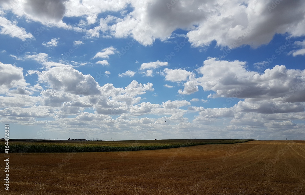 Fototapeta premium Paysage de campagne