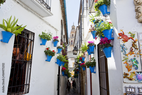 Flowers in flowerpot on the white walls on famous Flower street Calleja de las Flores in old Jewish quarter of Cordoba, Andalusia photo