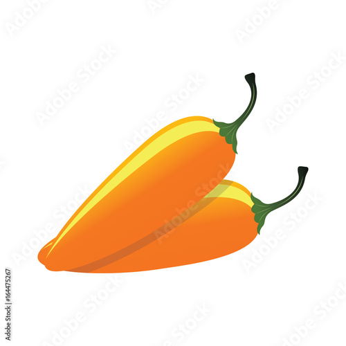 raw jalapeno hot yellow chilies. vector illustration 