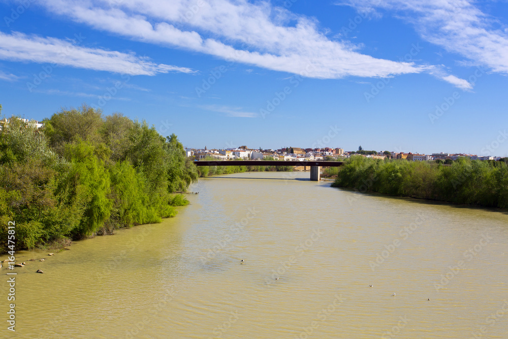 Fototapeta premium A bridge on Guadalquivir river, in Cordoba,