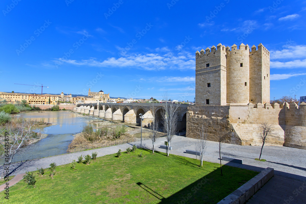 The Roman bridge and the Torre de Calahorra in Cordoba