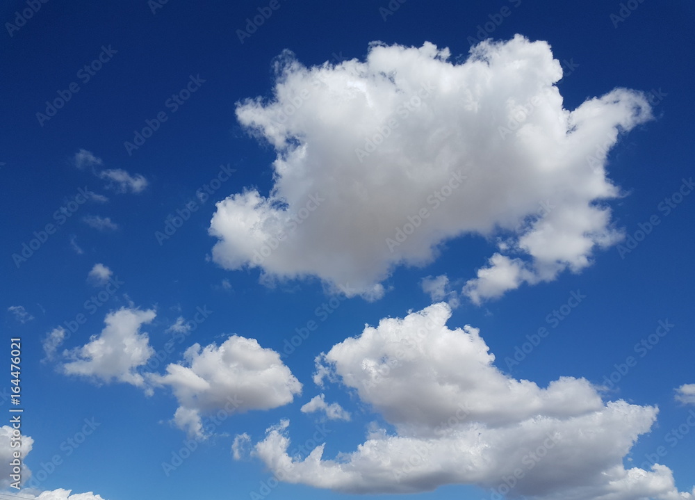 Obraz premium Nuage de coton