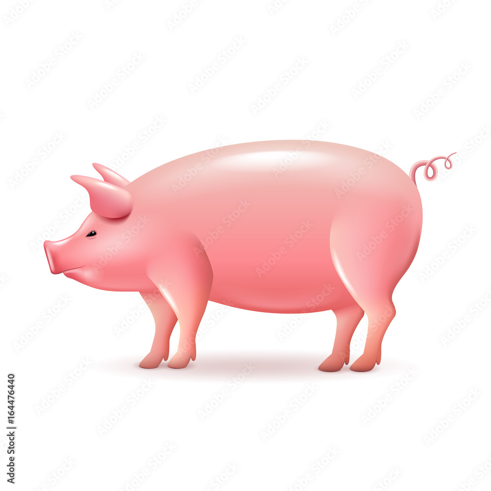 Fototapeta premium Pig side view isolated on white vector
