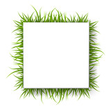 Square banner with grass, vector illustration