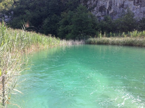 Fototapeta Naklejka Na Ścianę i Meble -  Plitvice lakes