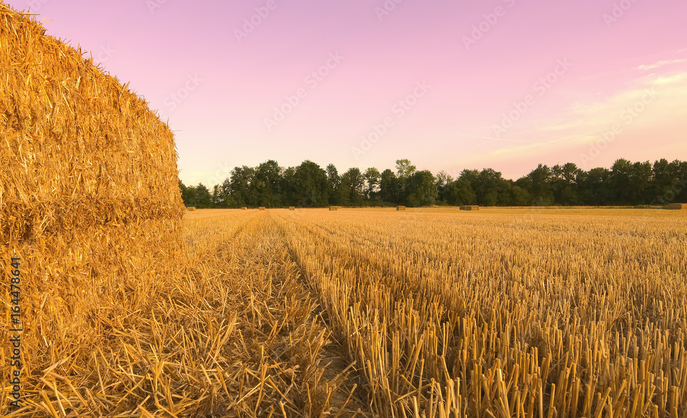 Wheat field harvested with hay bales at sunset - Sezzadio - Alessandria - Italy