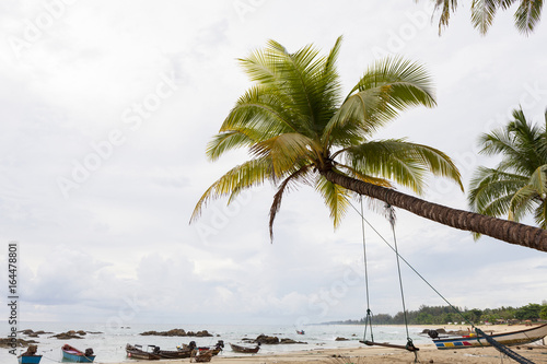  tropical beach with palms trees, holiday and summer tropical beach background.