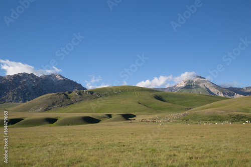 Monte Paradiso, all'orizzonte Cima Delle Veticole, cavalli, mucche, Parco Nazionale Gran Sasso e Monti della Laga, inizio dell'estate 