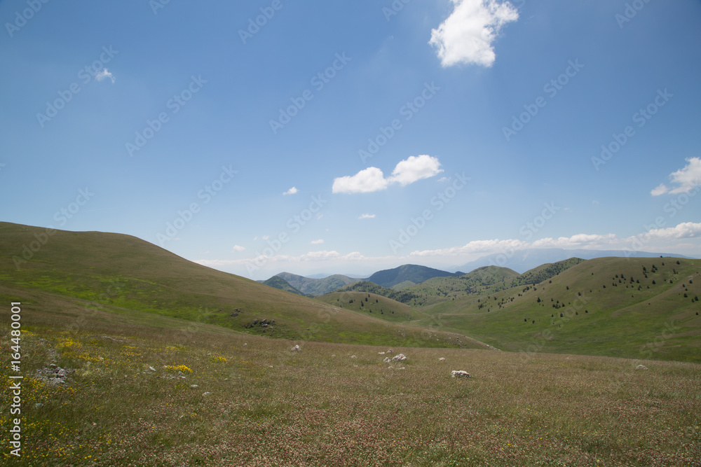 Monte Carpelone, Monte Carpesco, panorama, Parco Nazionale Gran Sasso e Monti della Laga, inizio dell'estate 