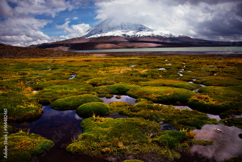Chile, Lauca National Park
