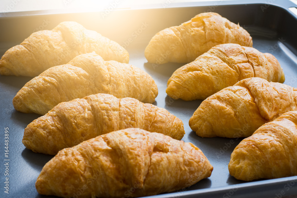 Croissants are in tray after leaving the oven for Served customers in breakfast.