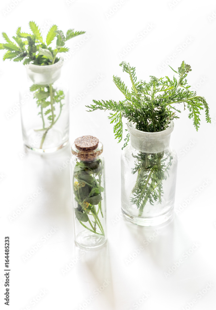 Fresh medicinal herbs in glass on white background Fresh medicinal herbs in glass on white background