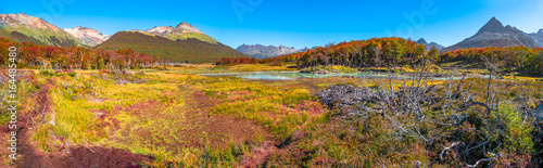 Gorgeous landscape of Patagonia s Tierra del Fuego National Park in Autumn  Argentina