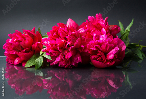 Fototapeta Naklejka Na Ścianę i Meble -  Red peony flowers bouquet on dark background