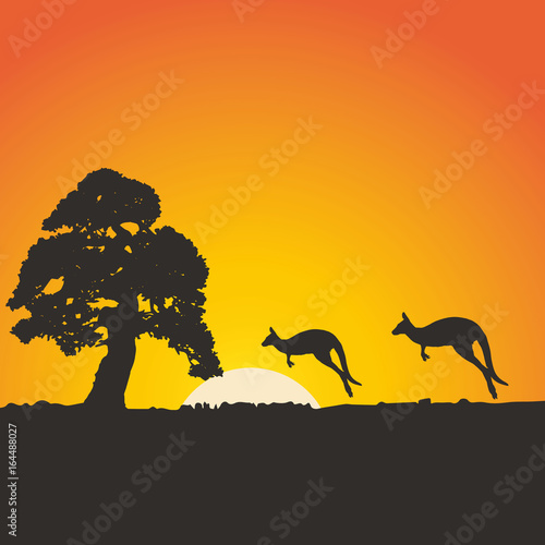 Africa, tree kangaroo, sun