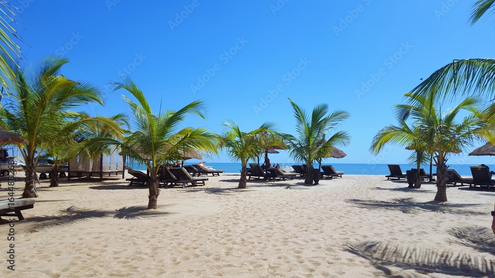 Sénégal Sénégal