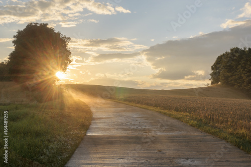 Tableau sur toile country road after the rain evaporates from the heat of the sun