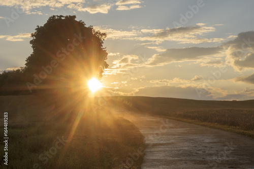 Tableau sur toile country road after the rain evaporates from the heat of the sun