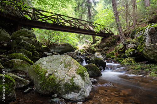 Ravennaschlucht Black Forest Schwarzwald photo