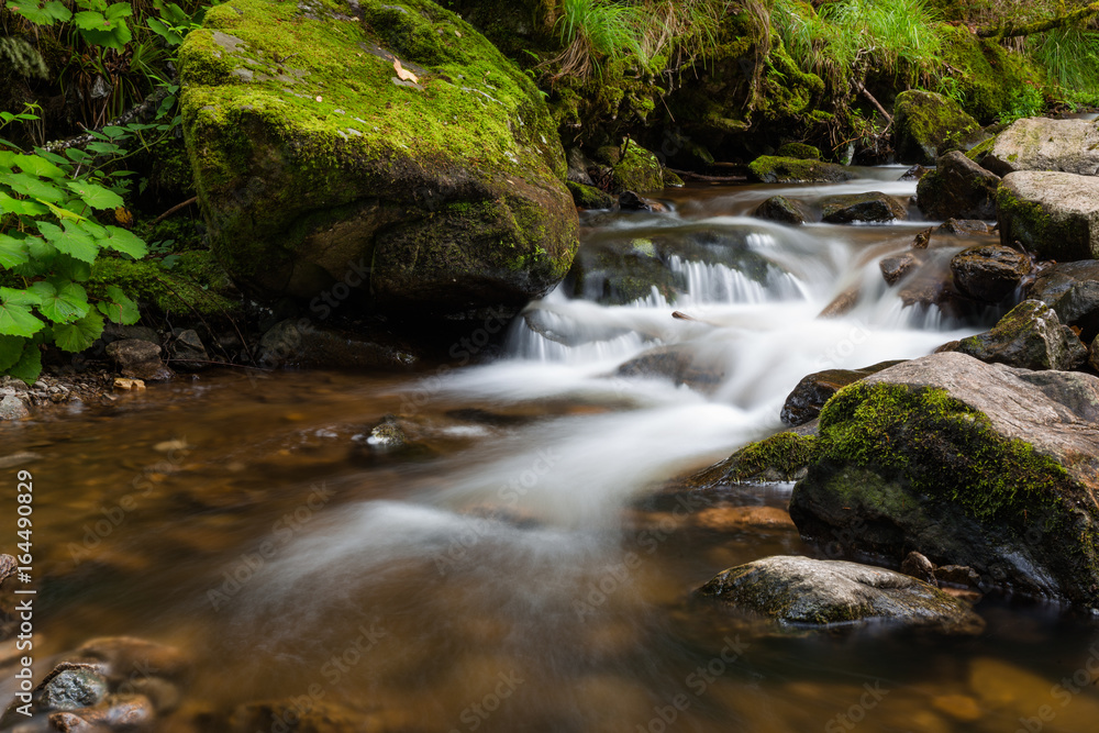 Ravennaschlucht Black Forest Schwarzwald