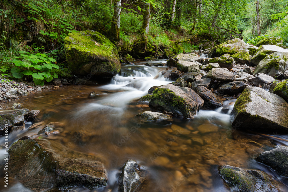 Ravennaschlucht Black Forest Schwarzwald