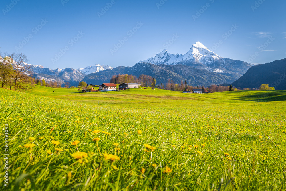 Idyllic mountain scenery in the Alps with blooming meadows in springtime
