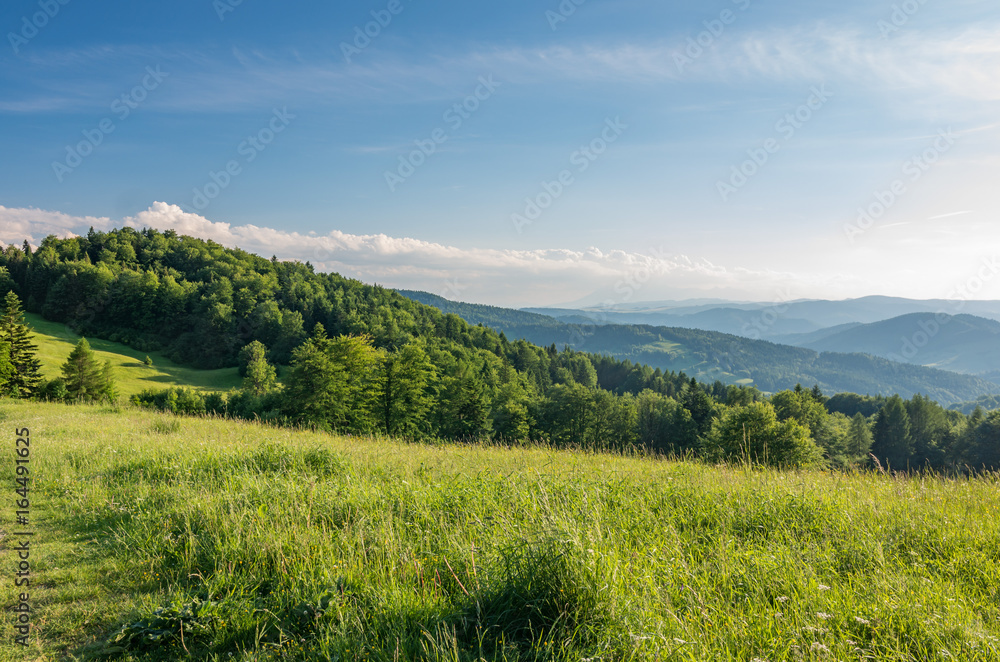 Beskidy mountains panorama, Poland landscape, green spring meadow, 