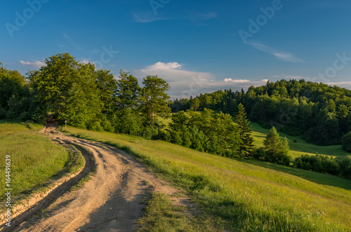 Fototapeta Naklejka Na Ścianę i Meble -  Beskidy mountains, Poland, green spring meadow with dirt road