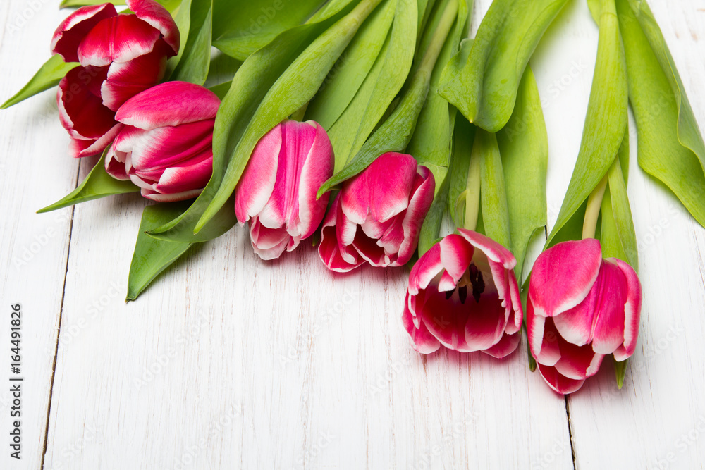 Tulip bouquet on white wooden background, copy space Tulip bouquet on white wooden background, copy space