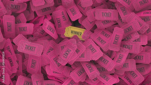 Finding the winning lottery ticket
