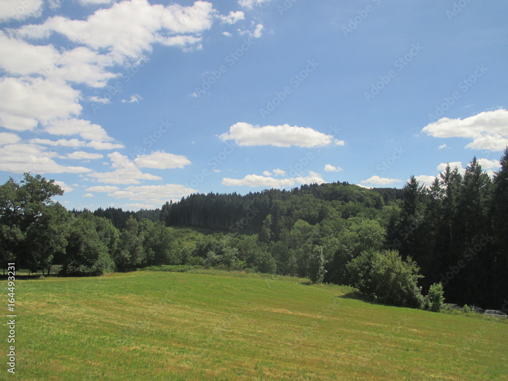 paysage avec vu sur foret et pré paysage avec vu sur foret et pré