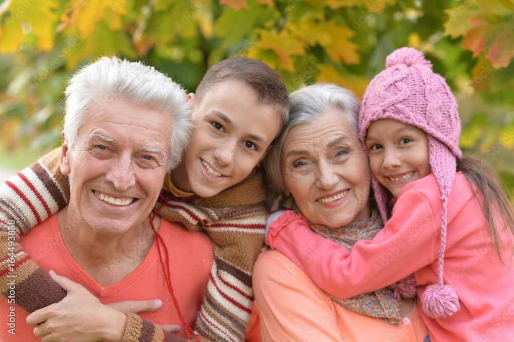 Fototapeta premium grandfather, grandmother and grandchildren in park 