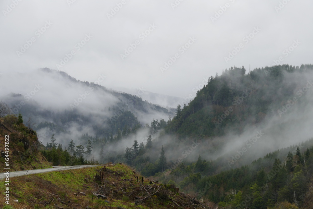Oregon Oregon