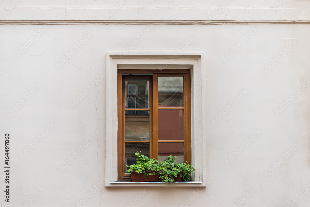 Window decorated flowerpot