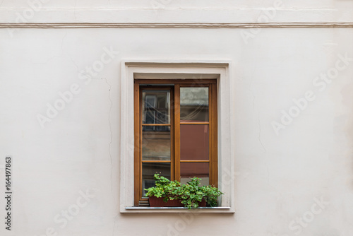 Window decorated flowerpot