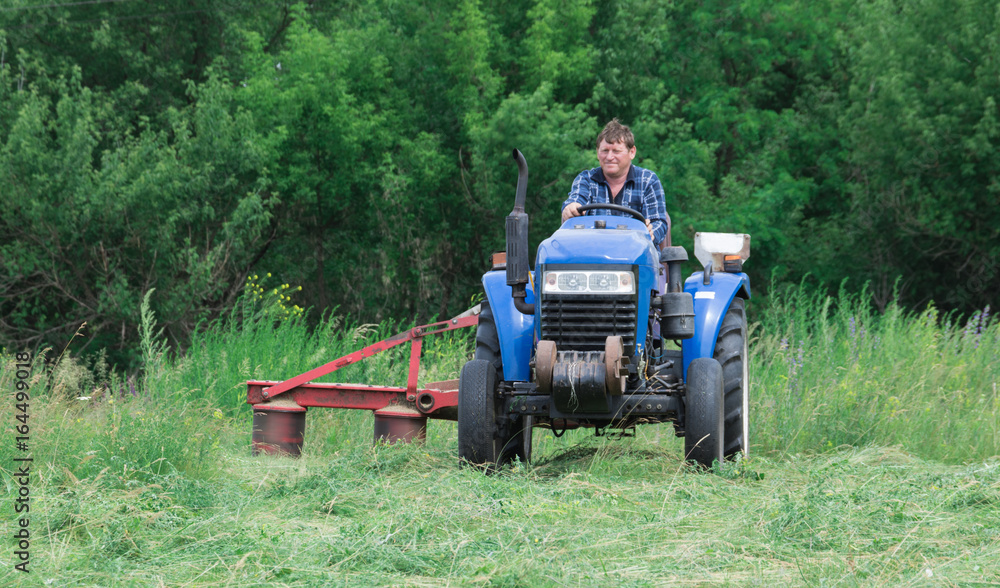Obraz premium Harvesting hay for the winter