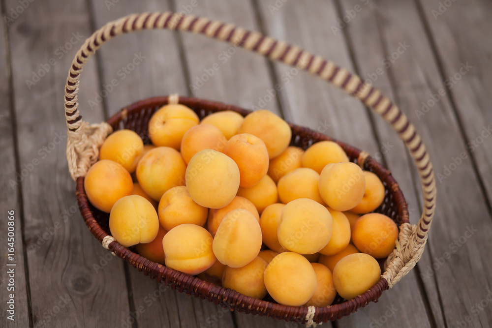 freshly picked ripe apricots