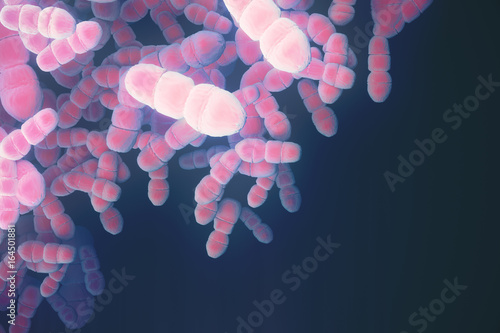 Photos Pink bacteria backdrop