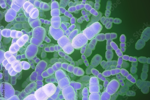 Obraz na plátne Purple bacteria background