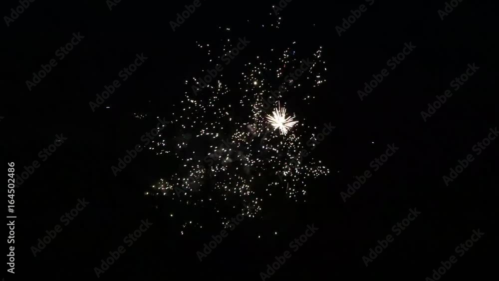 Fireworks exploding in the night sky Fireworks exploding in the night sky