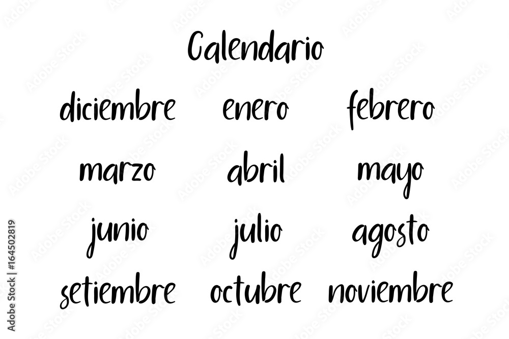 Handwritten Months. Spanish language. Modern Calligraphy. Isolated on White Background. Vector illustration for design calendar 2018, greeting card, planner, organizer, invitation.