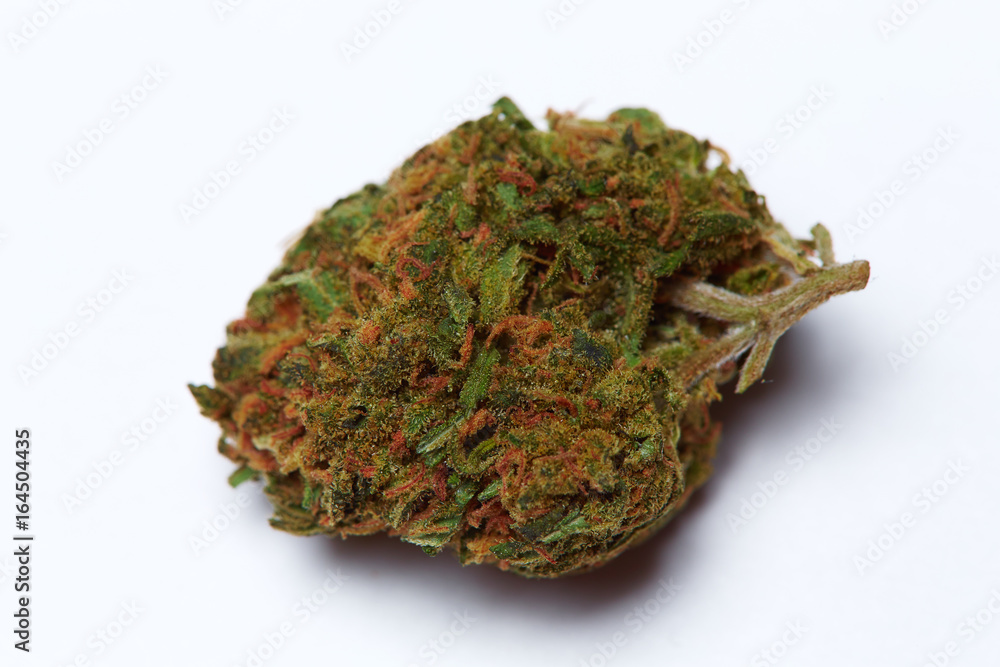 Close up of medical marijuana flower Durban Poison strain on white background Close up of medical marijuana flower Durban Poison strain on white background