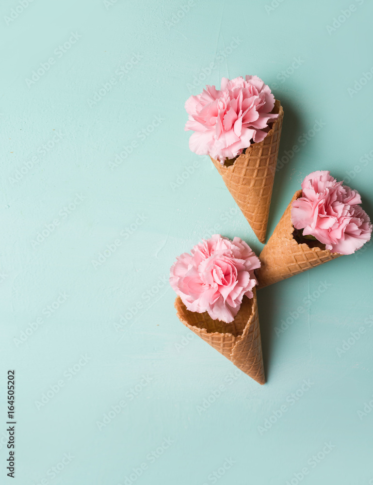 Pink carnations on a blue background. Flowers. Copyspace. Flower photo concept. Flowers in waffle cones Pink carnations on a blue background. Flowers. Copyspace. Flower photo concept. Flowers in waffle cones