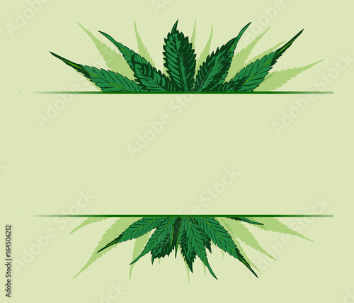 Cannabis leafs frame hand drawn. Vector image.