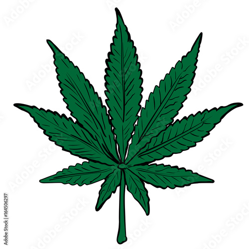 Cannabis leafs vector pattern